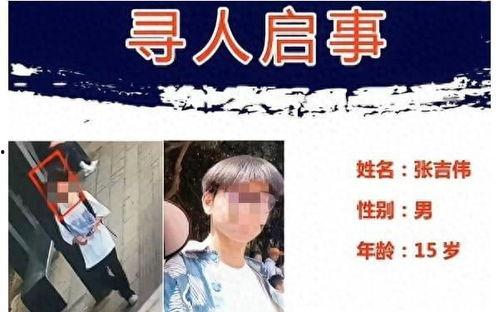 国产高清清爽推理片有哪些,智慧与美感的完美融合